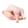 MRAZ. kuracie stehná 240g /10kg