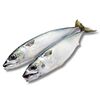 MRAZ. makrela nekuchaná ŠIŠMA 300 -500g/21kg