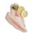 MRAZ. PANGASIUS - 20% glazura /5kg